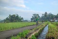 Two boys exercising on a small bicycle